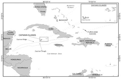 Renewed occurrence of schooling scalloped hammerhead (Sphyrna lewini) and of great hammerhead (S. mokarran) sharks in the Cayman Islands